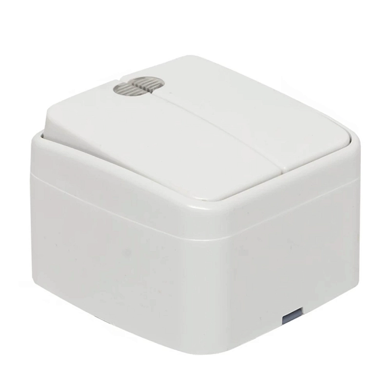 Выключатель двухклавишный EKF Basic Минск открытой установки, с индикатором, номинальный ток - 10 А, степень защиты IP20, цвет - белый EGV10-123-10